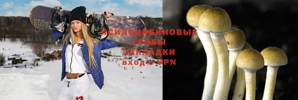 амф Новодвинск