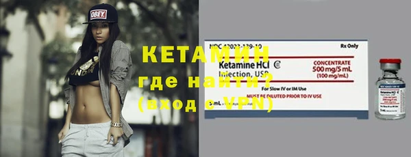 сатива Новозыбков