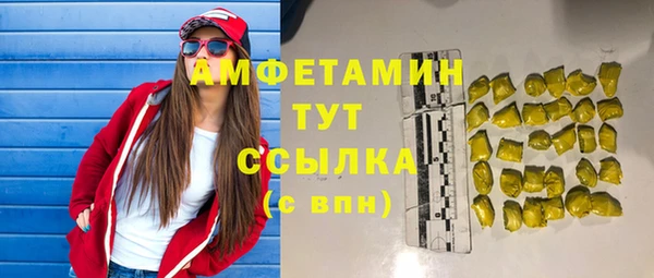 сатива Болохово
