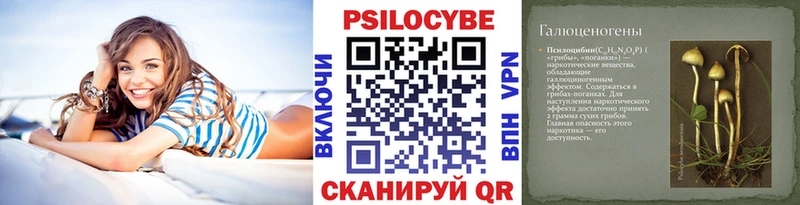 Псилоцибиновые грибы MAGIC MUSHROOMS  где купить   Калининск 